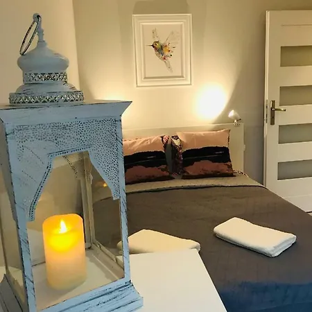 Bird House In The Center Apartment