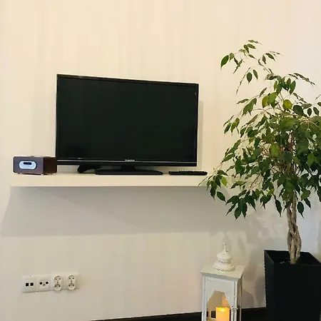 Apartment Bird House In The Center Krakow